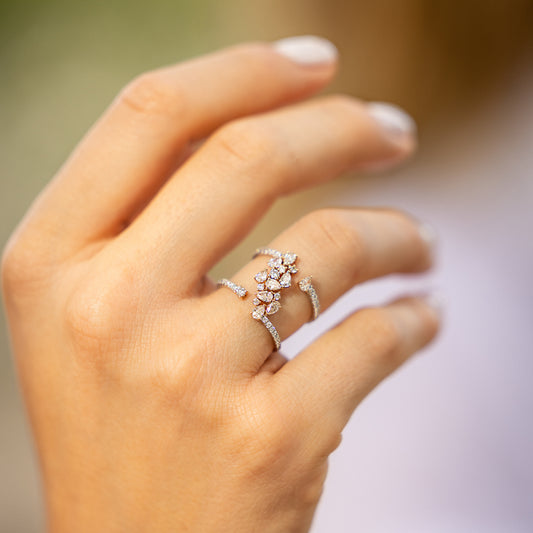 Double Band Cluster Diamond Ring