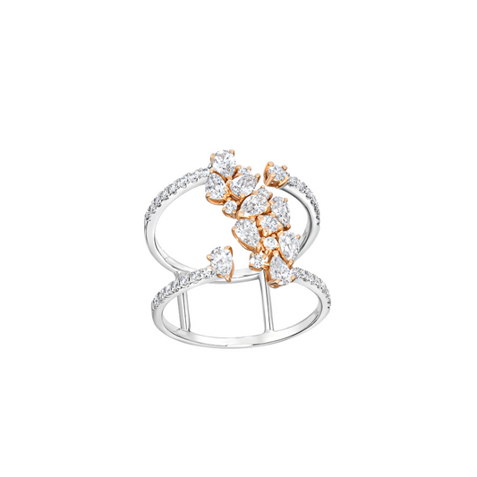 Double Band Cluster Diamond Ring