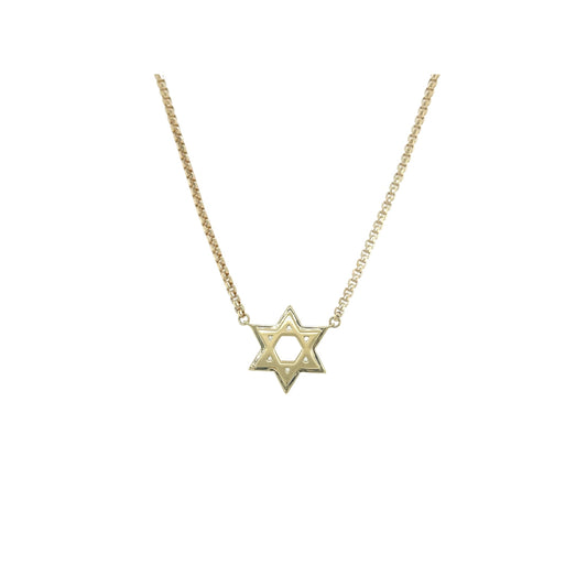 Gold Star of David Brushed Pendant Necklace